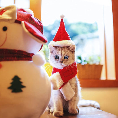 SantaPaws Holiday Hat