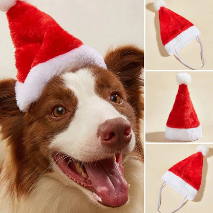 SantaPaws Holiday Hat